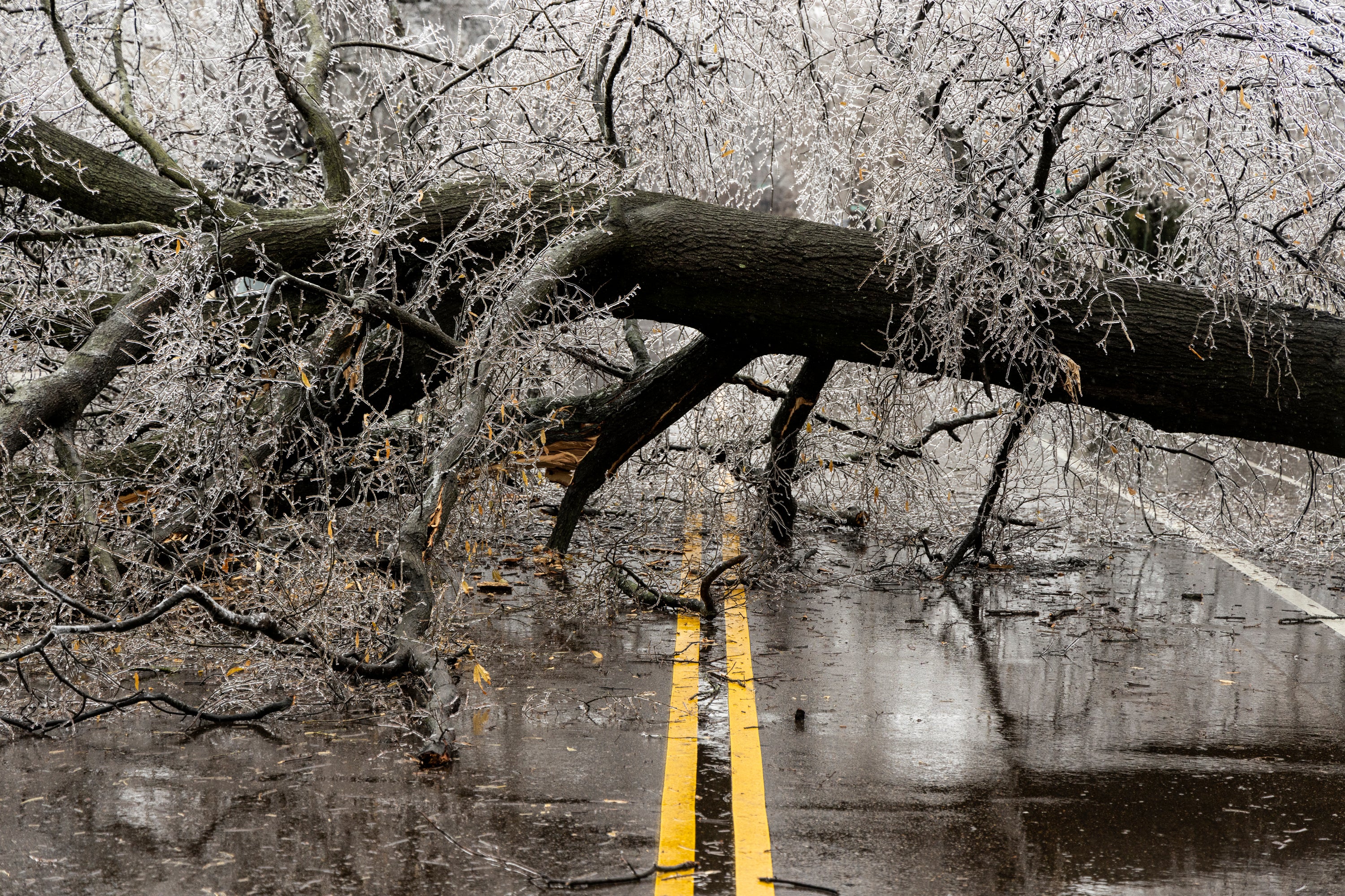 Crippling ice threatens millions in historic winter storm path with major power outages and travel issues