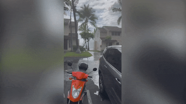 Massive waves clear two-storey condo in Hawaii as huge swell rolls