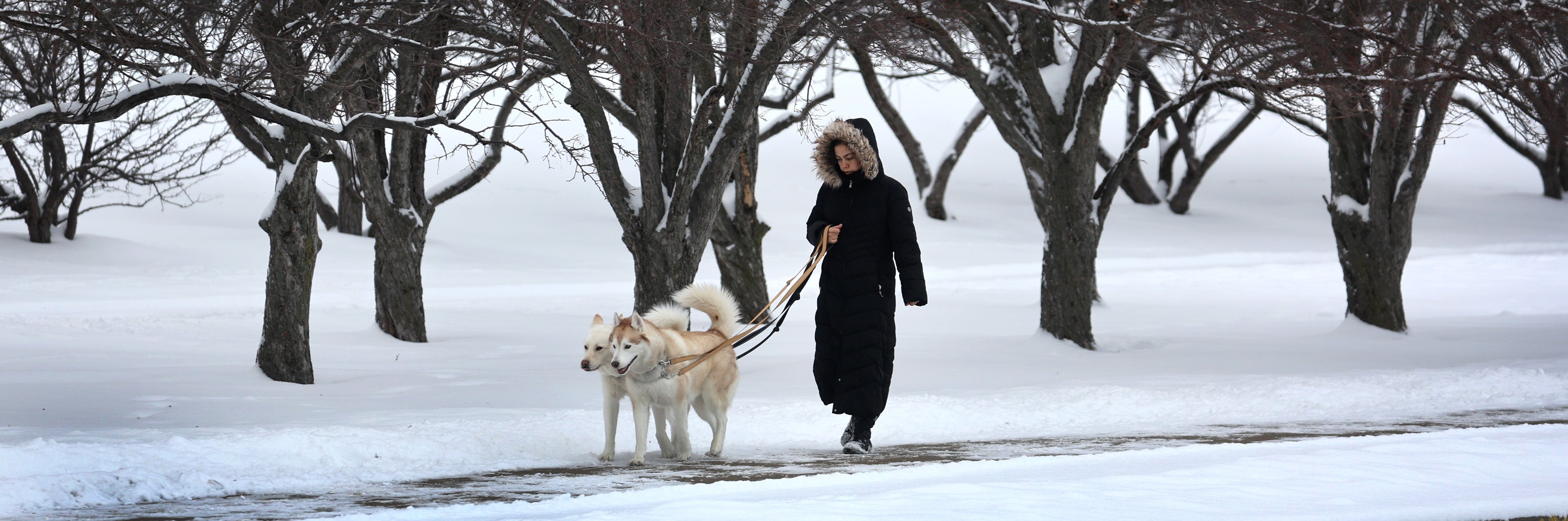Warmer weather is on the way for the Lower 48 just in time for Christmas