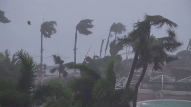 Typhoon Dolphin barrels towards China with damaging winds and flooding