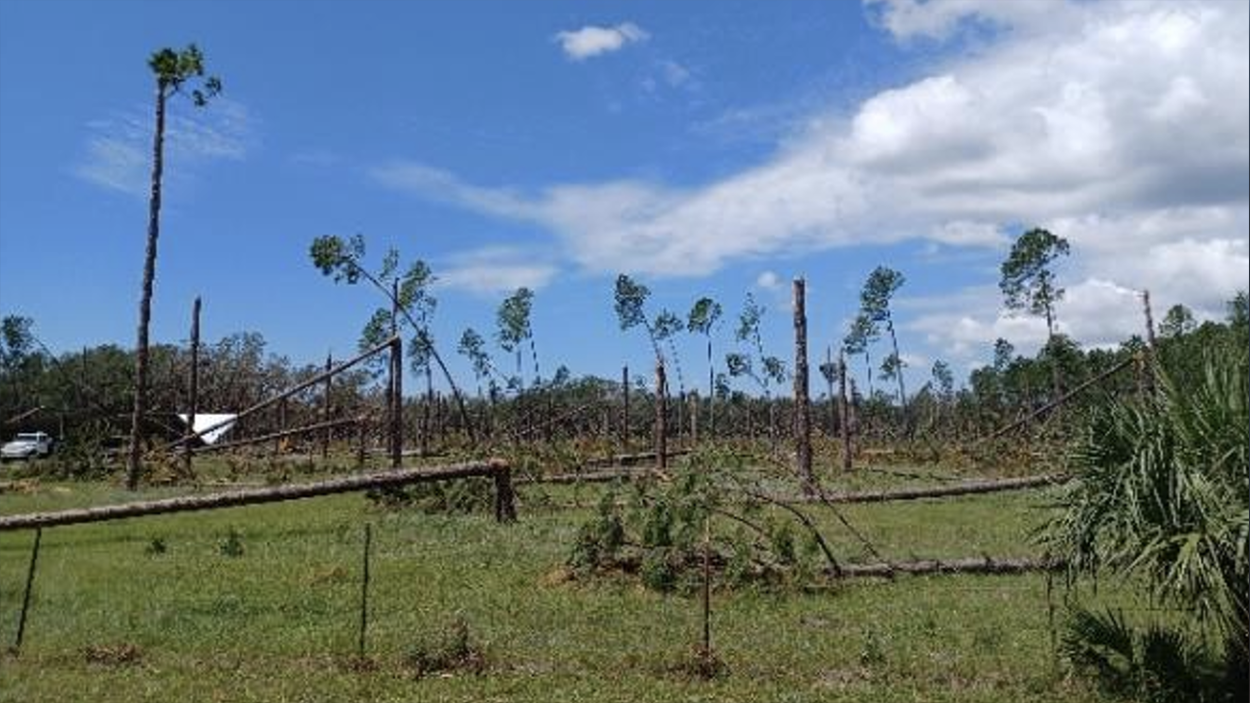 El Niño and hurricane season: What it means and how similar circumstances have played out