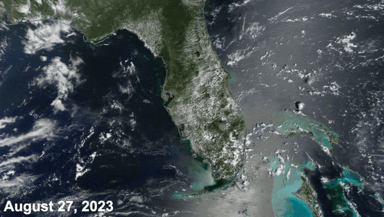 Hurricane Idalia leaves marks on Florida's coastline that are visible from space