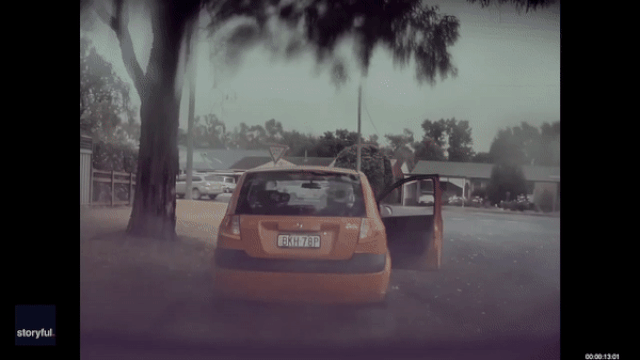 Watch: Tree explodes after lightning strike as man narrowly avoids ...