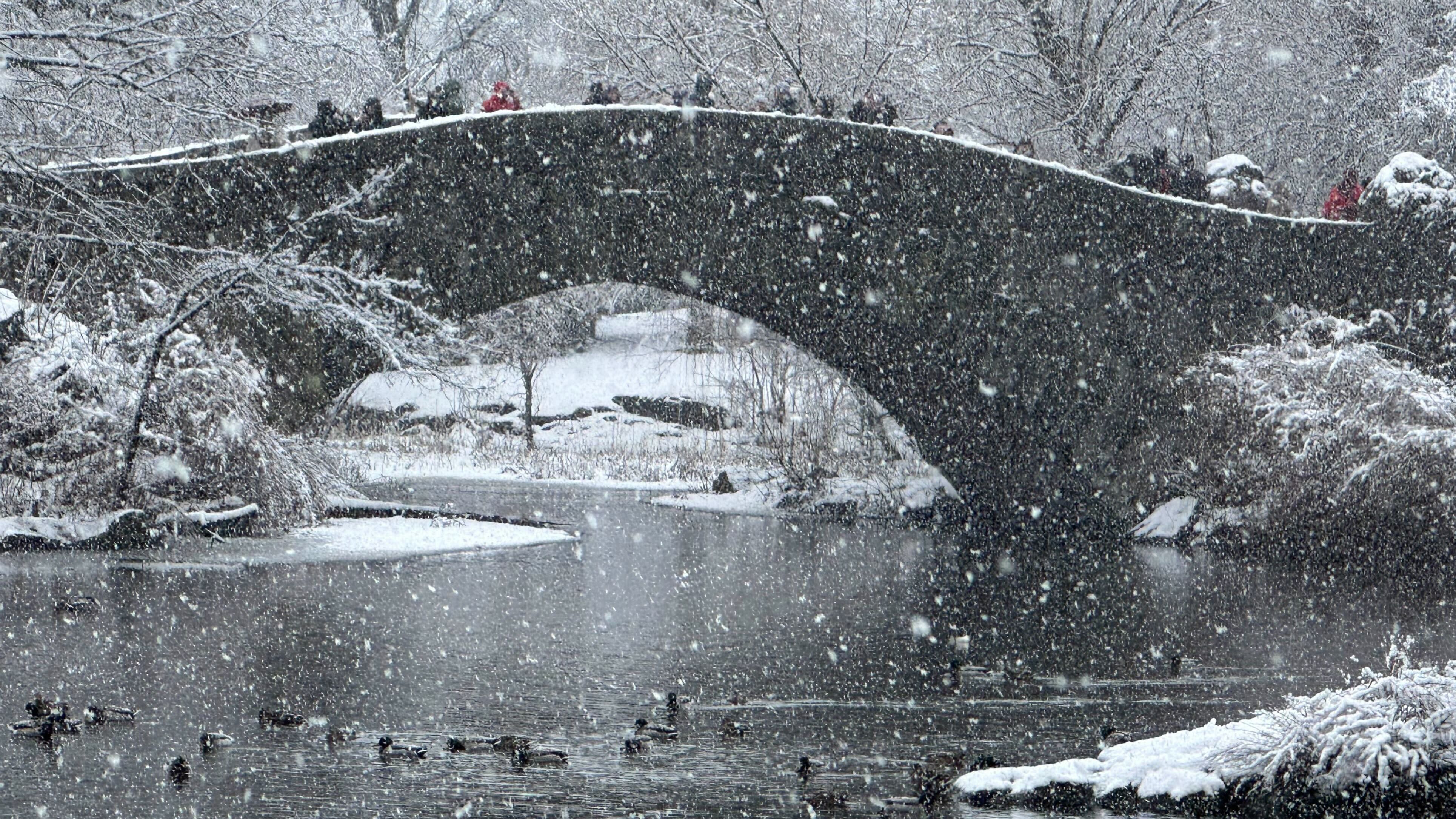 States of Emergency triggered as major winter storm charges through the Northeast, unleashing travel nightmare