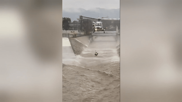 Watch: Man rescued from raging Los Angeles River after jumping in to save dog