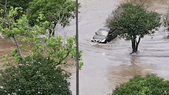 Photographer watches helplessly as driver makes wrong turn in flooded lot: 'You're driving into the creek!'