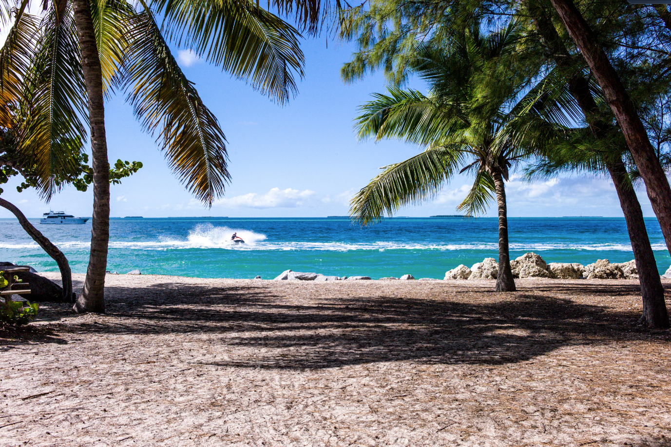 Woman killed in bone-chilling shark attack at popular US Virgin Islands tourist destination