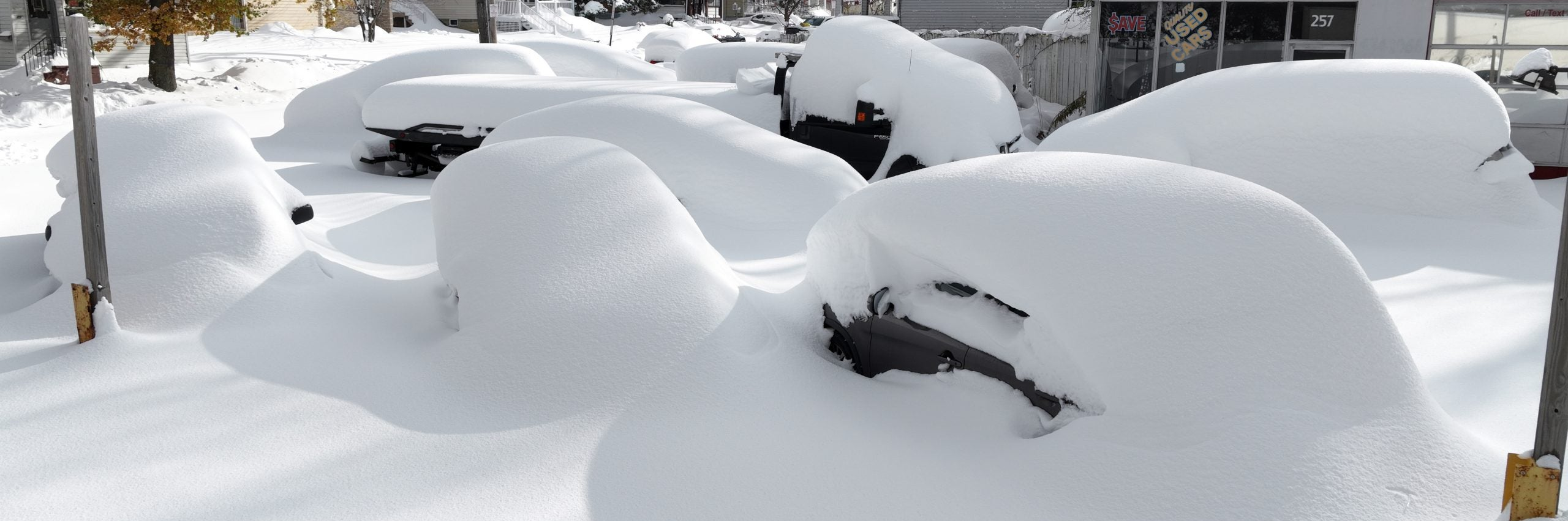 Cause and effect: Here's how different temperatures produce specific types of 'effect snow'
