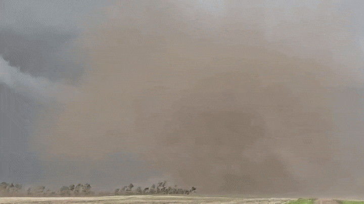 Watch: Dusty tornado spins across road in front of FOX Weather storm tracker
