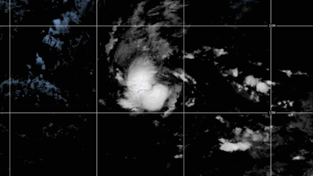 Tropical Storm Erin on track to become hurricane soon as sandbag distribution begins in US Virgin Islands