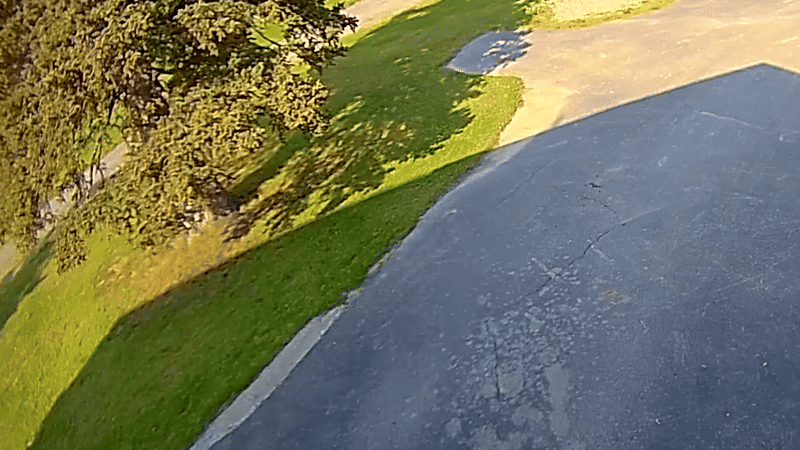 Watch: Dog chases intrusive bear away from Alaska garage as owner grabs gun