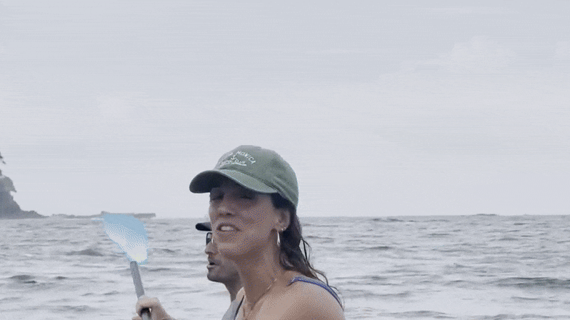 Spectacular humpback whale breach caught on camera by kayakers in Costa Rica