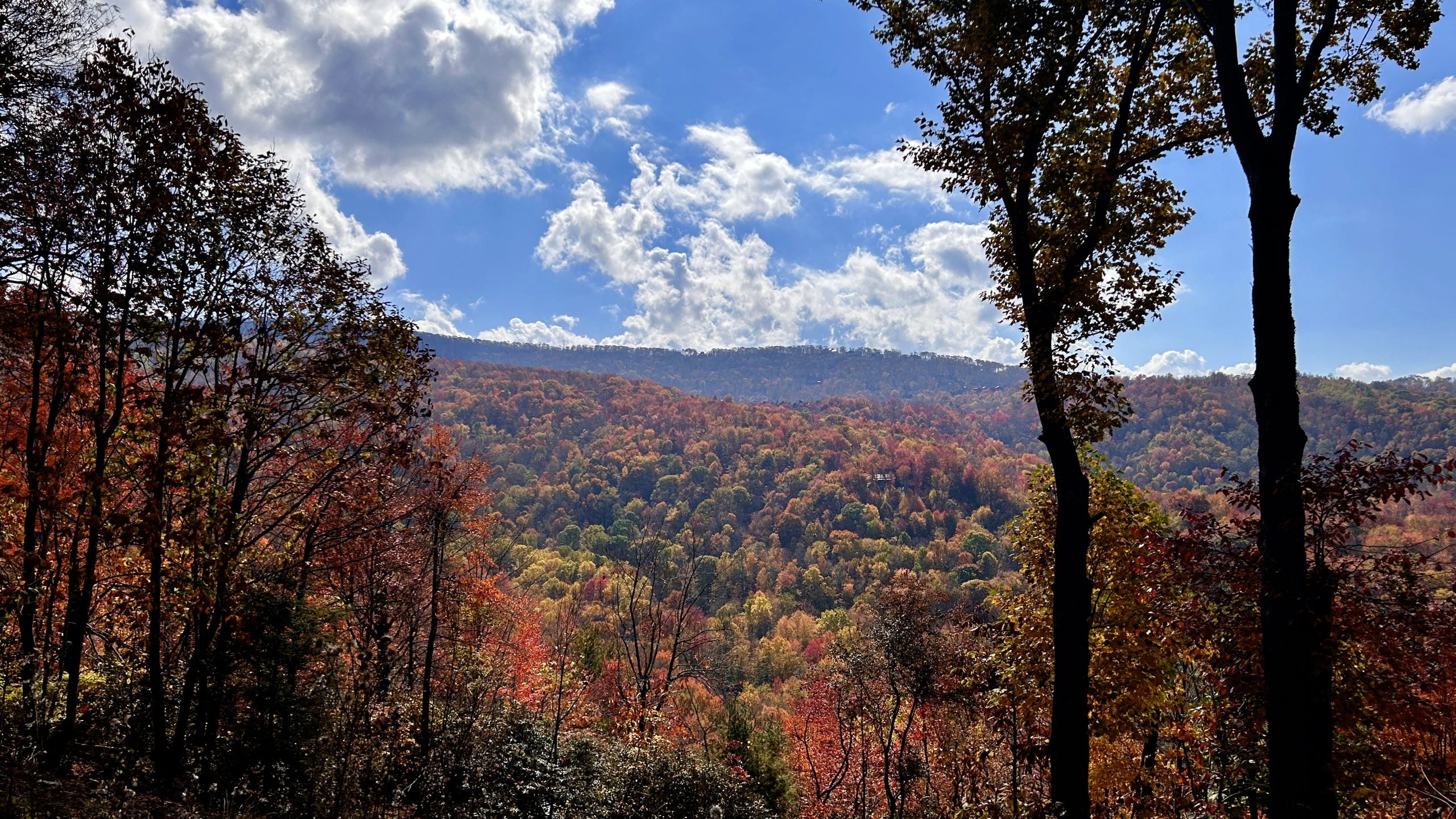 Fall leaf-peeping season marks triumphant return to Blue Ridge Parkway's Beech Mountain