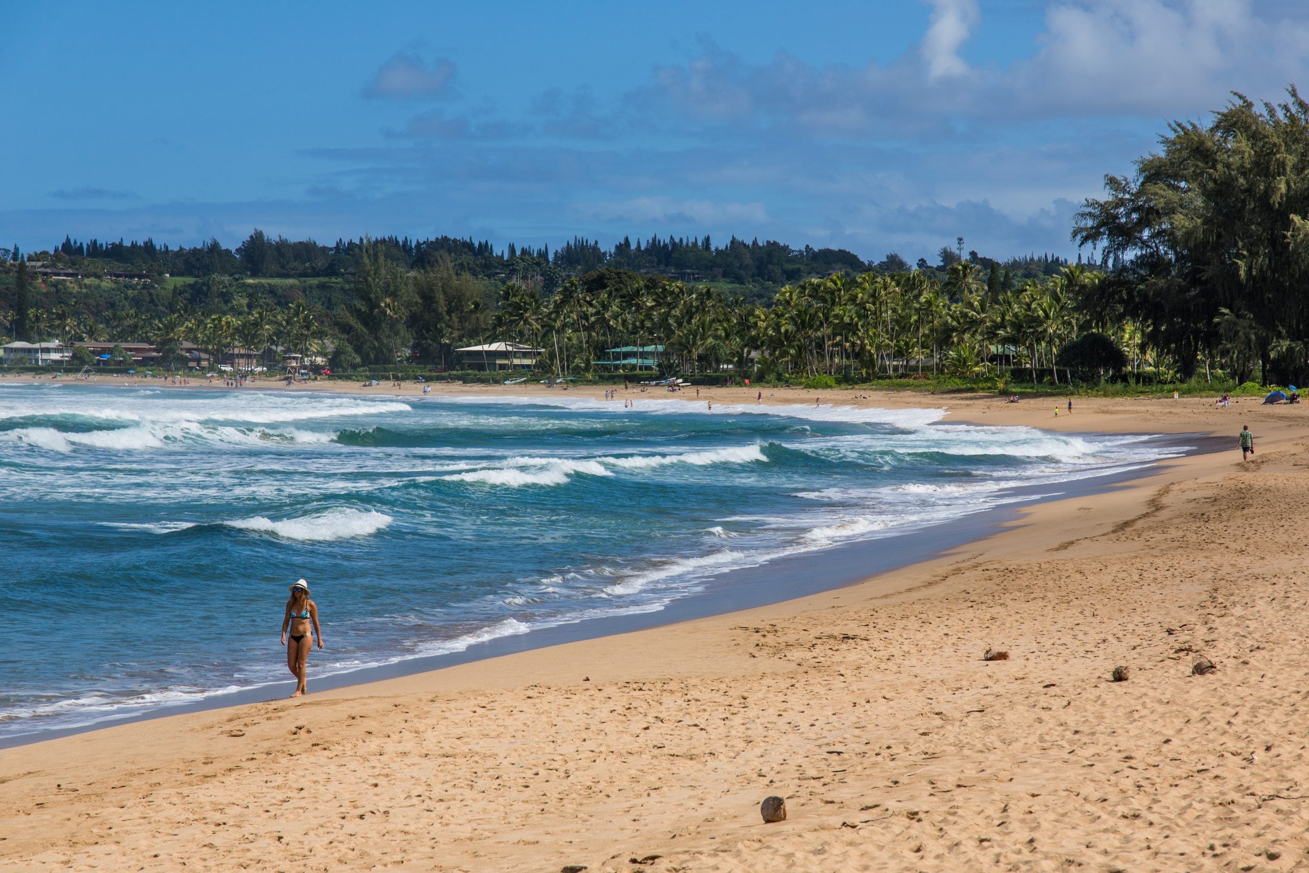 Navy sailor dies after rescuing two children from rough Hawaiian surf