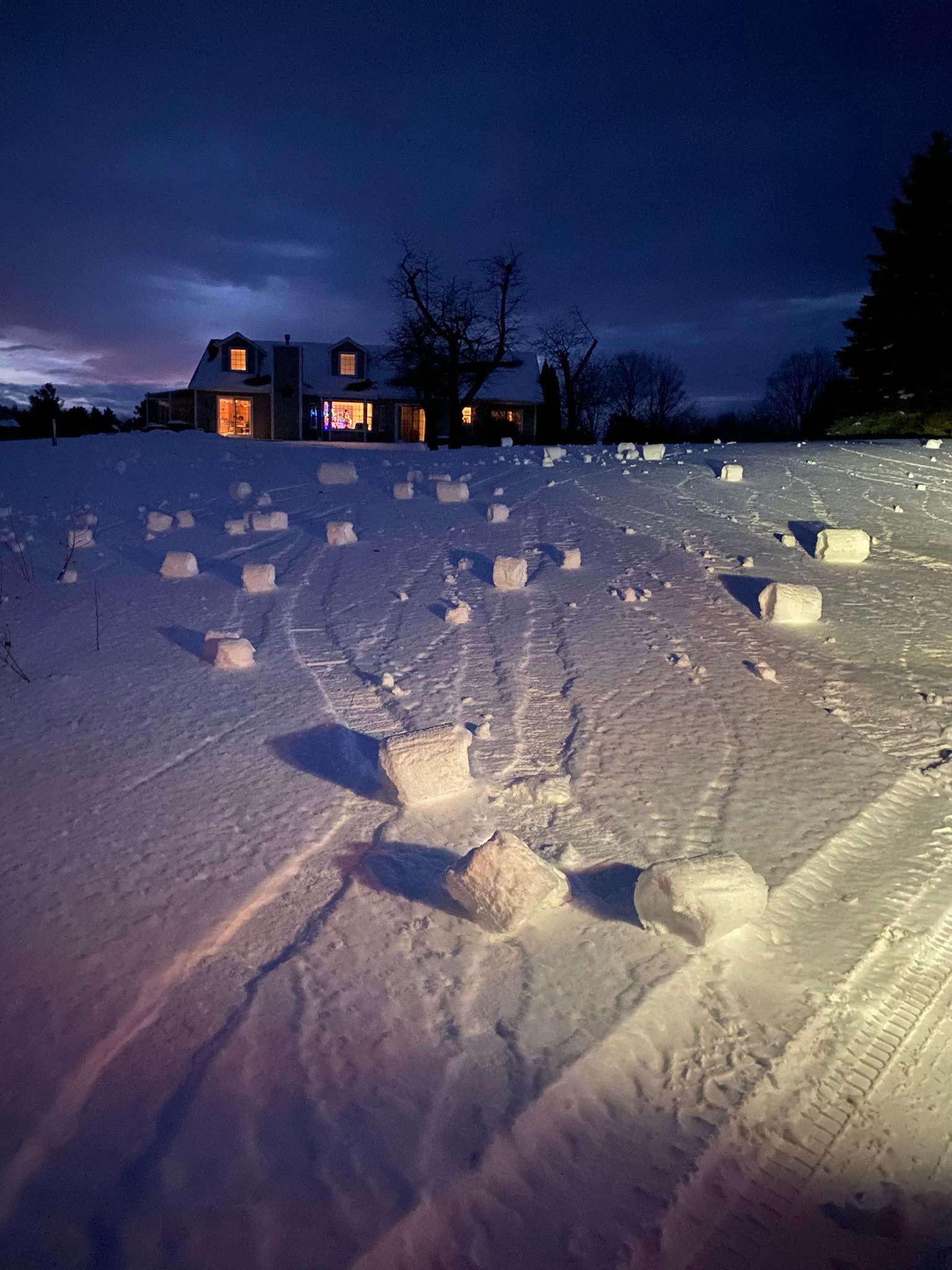 See it: Dozens of rare snow rollers appear in Michigan yard