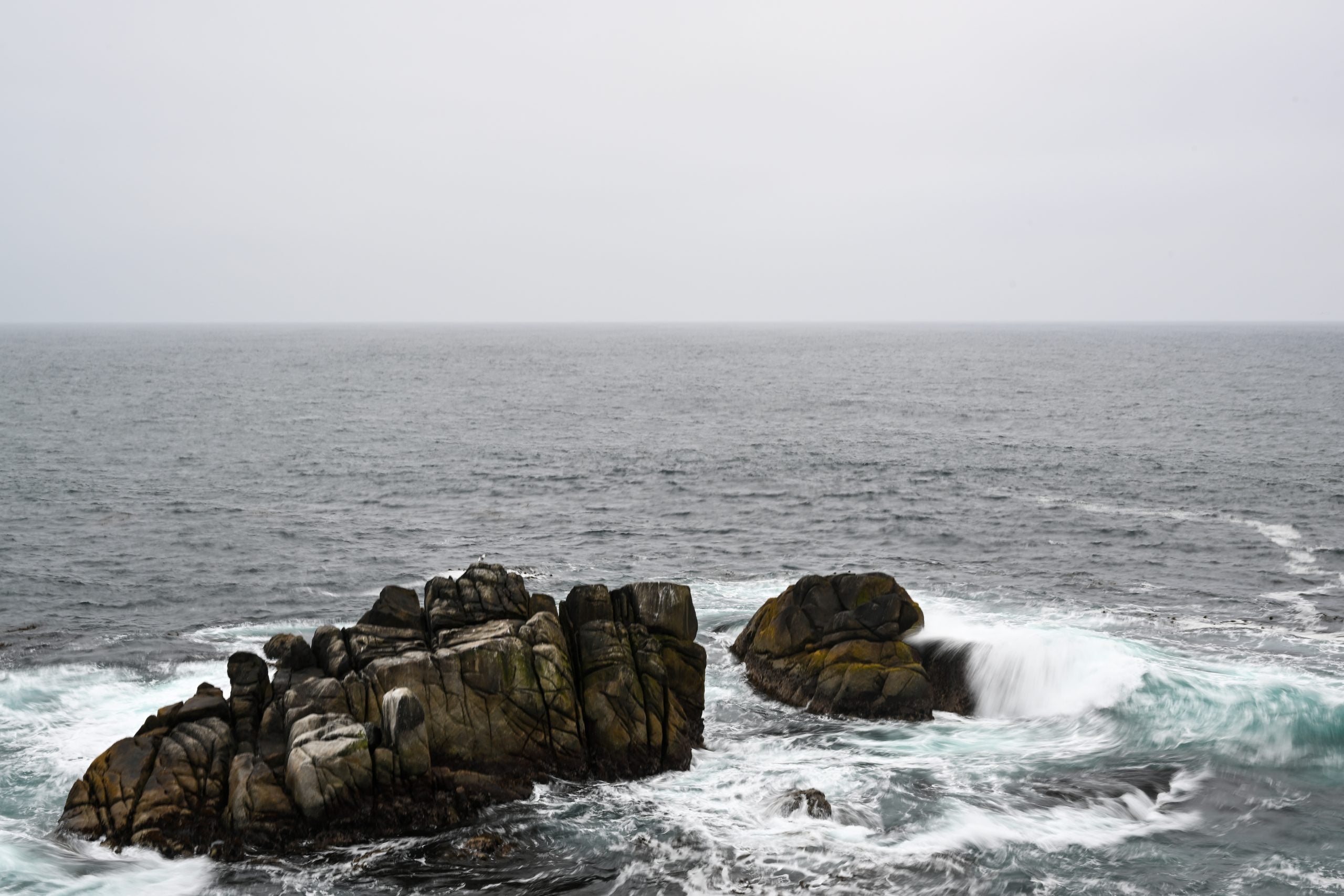 Search suspended for missing swimmer after possible shark attack in California