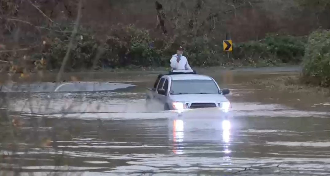 Washington state resident and her two dogs rescued from floodwaters