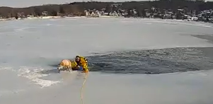 See it: Officer glides onto frozen New Jersey lake to rescue a trapped dog