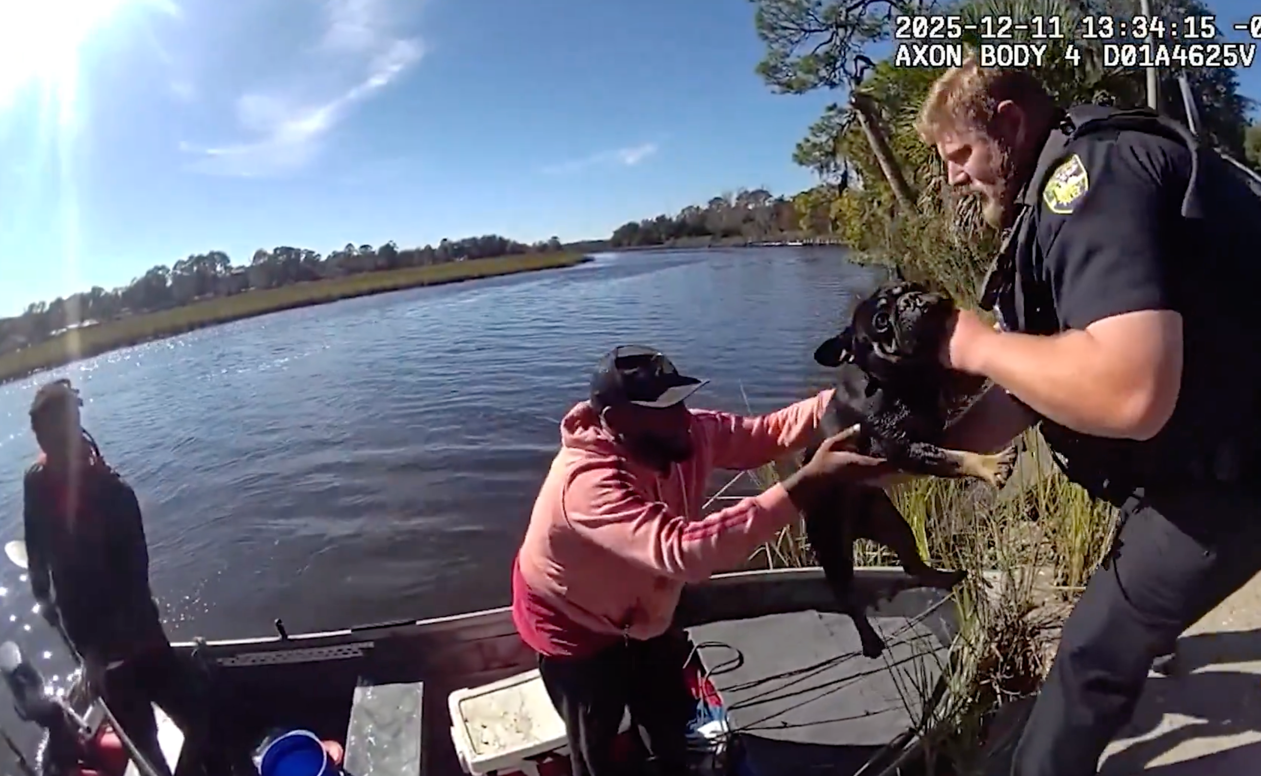 Must watch: Stranded French bulldog rescued from river