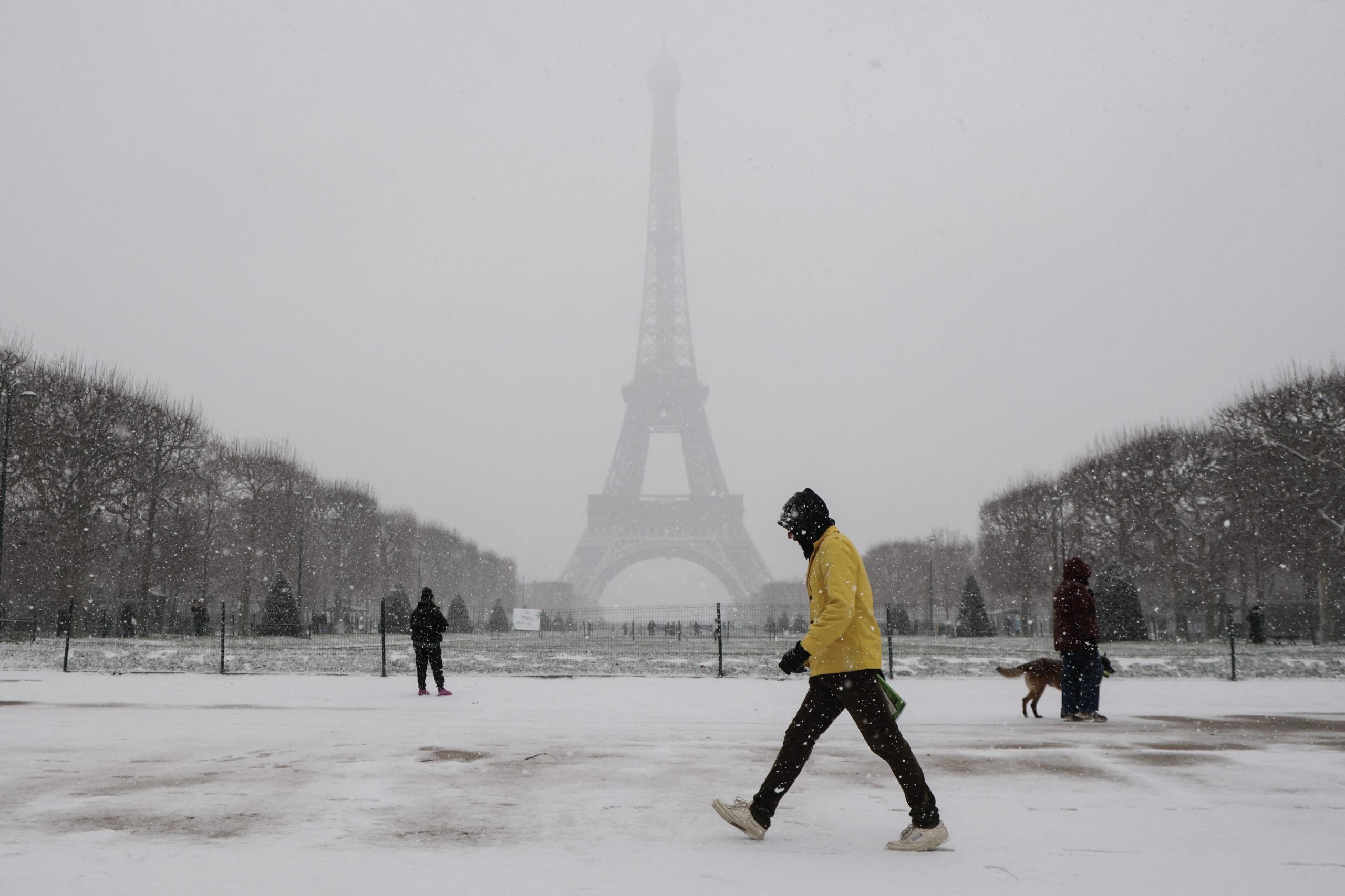 Watch: Streets of Paris transformed into downhill ski slope as snow blankets the French capital