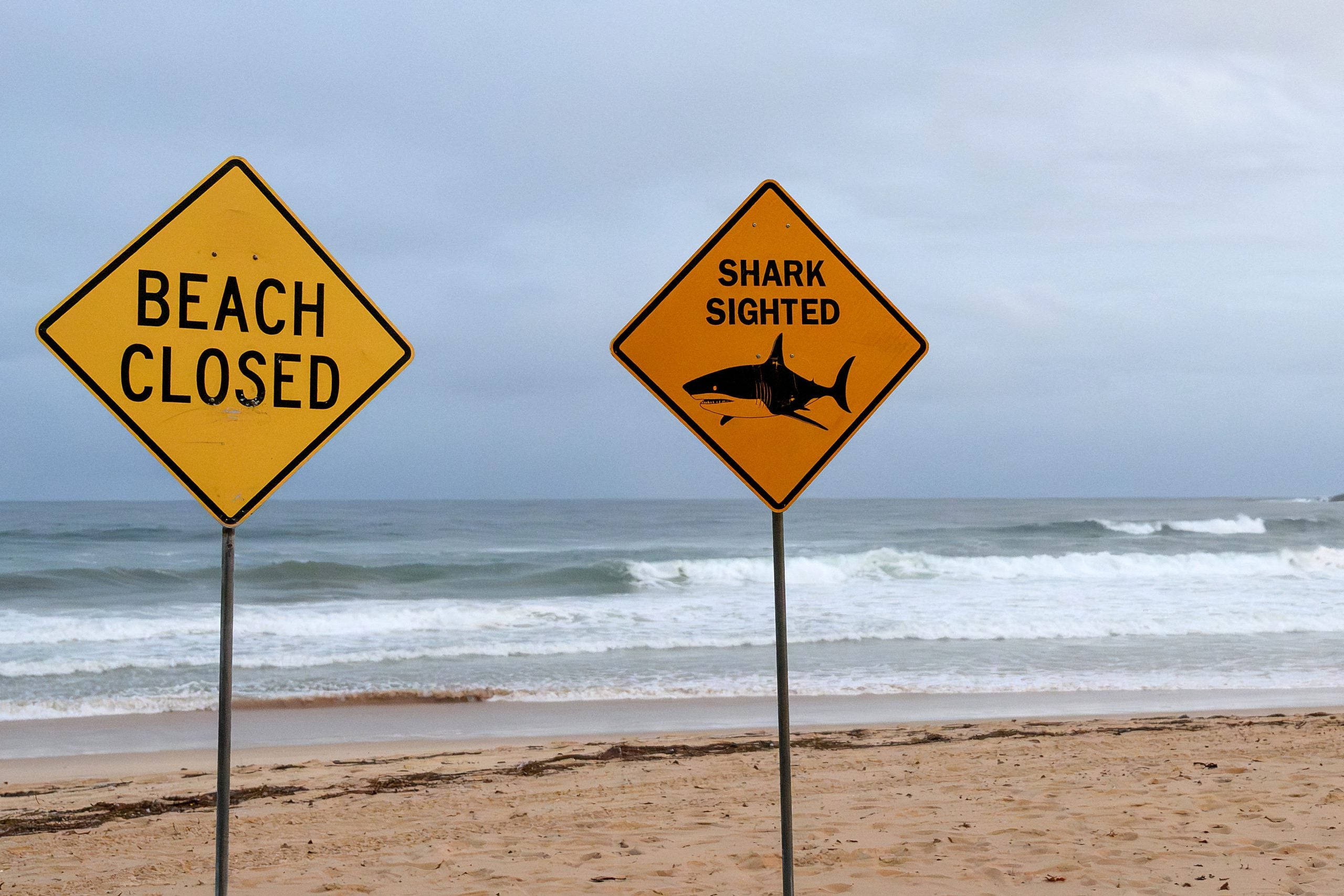 Shark attack leaves woman critically injured amid series of encounters in Australia