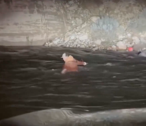 Watch: First responders perform swift water rescue, save two men and dog from river