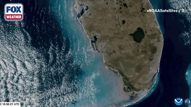 See it: South Florida wildfire visible from space after exploding in strength