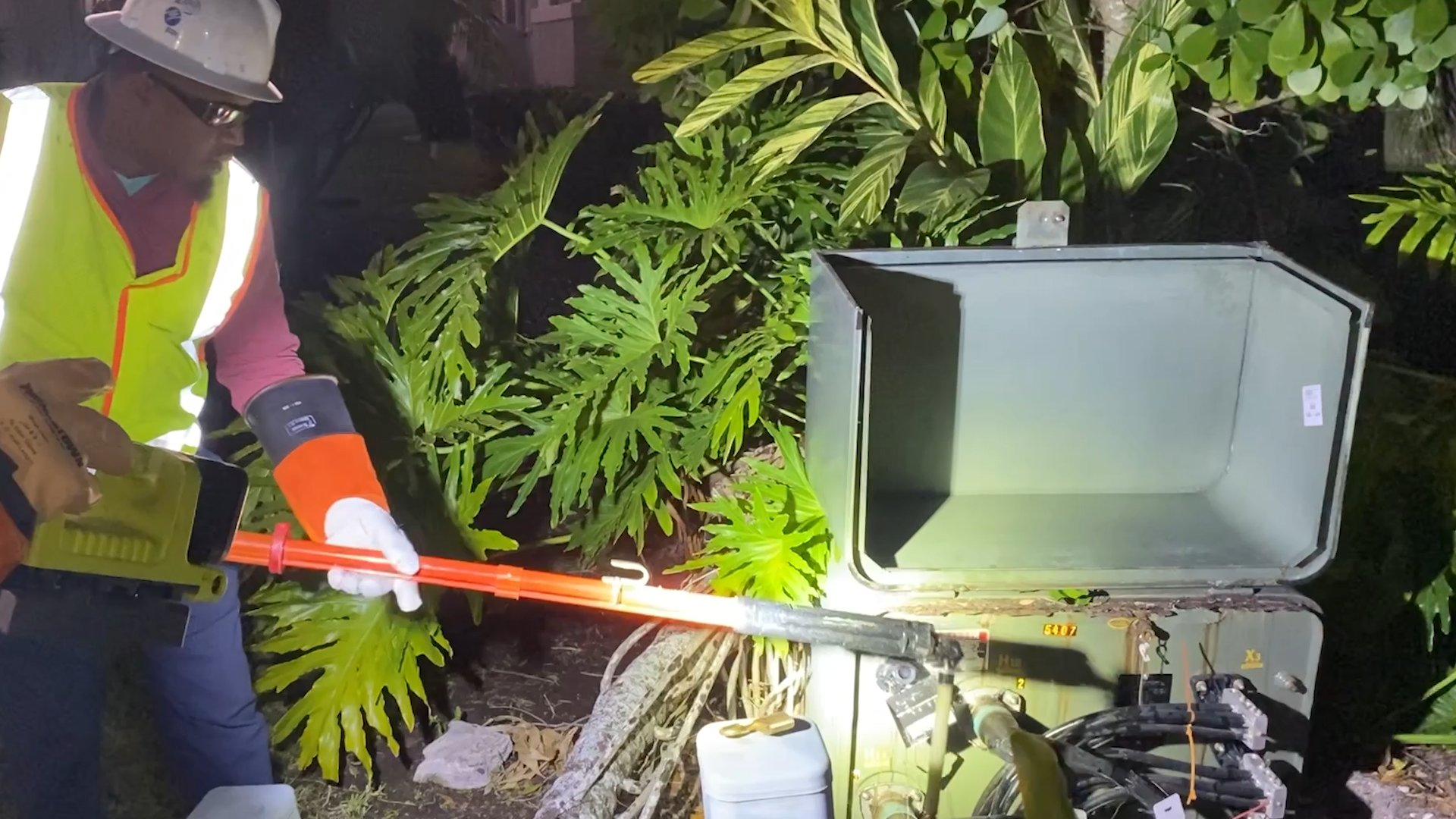 Freezing in Florida: Arctic chill reaches Sunshine State, breaking records and causing power disruptions