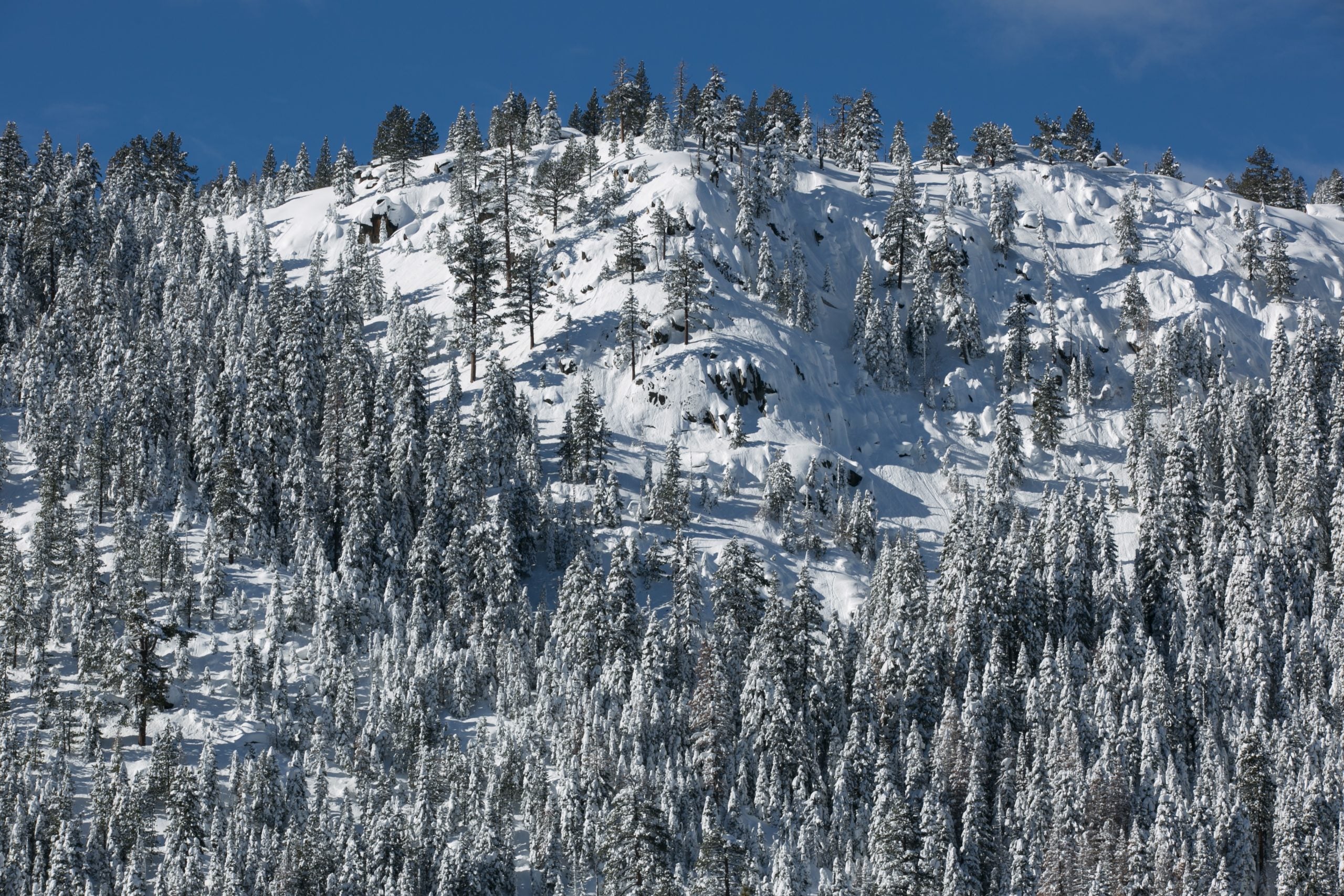Several skiers reported missing after avalanche in Sierra Nevada during extreme weather conditions
