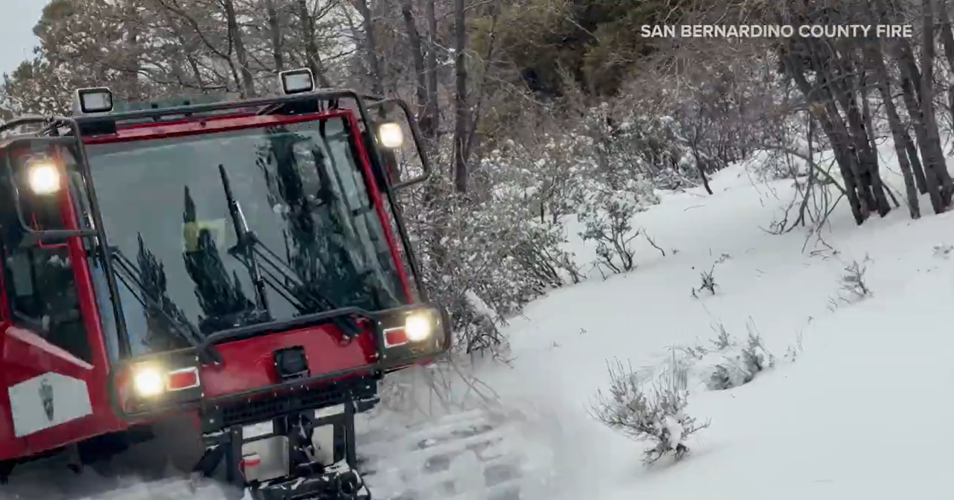 See it: First responders leap into action to rescue camper and dog stranded in feet of snow