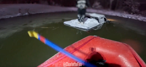 Video: Firefighters rescue man from submerged car while intense nor'easter slams North Carolina