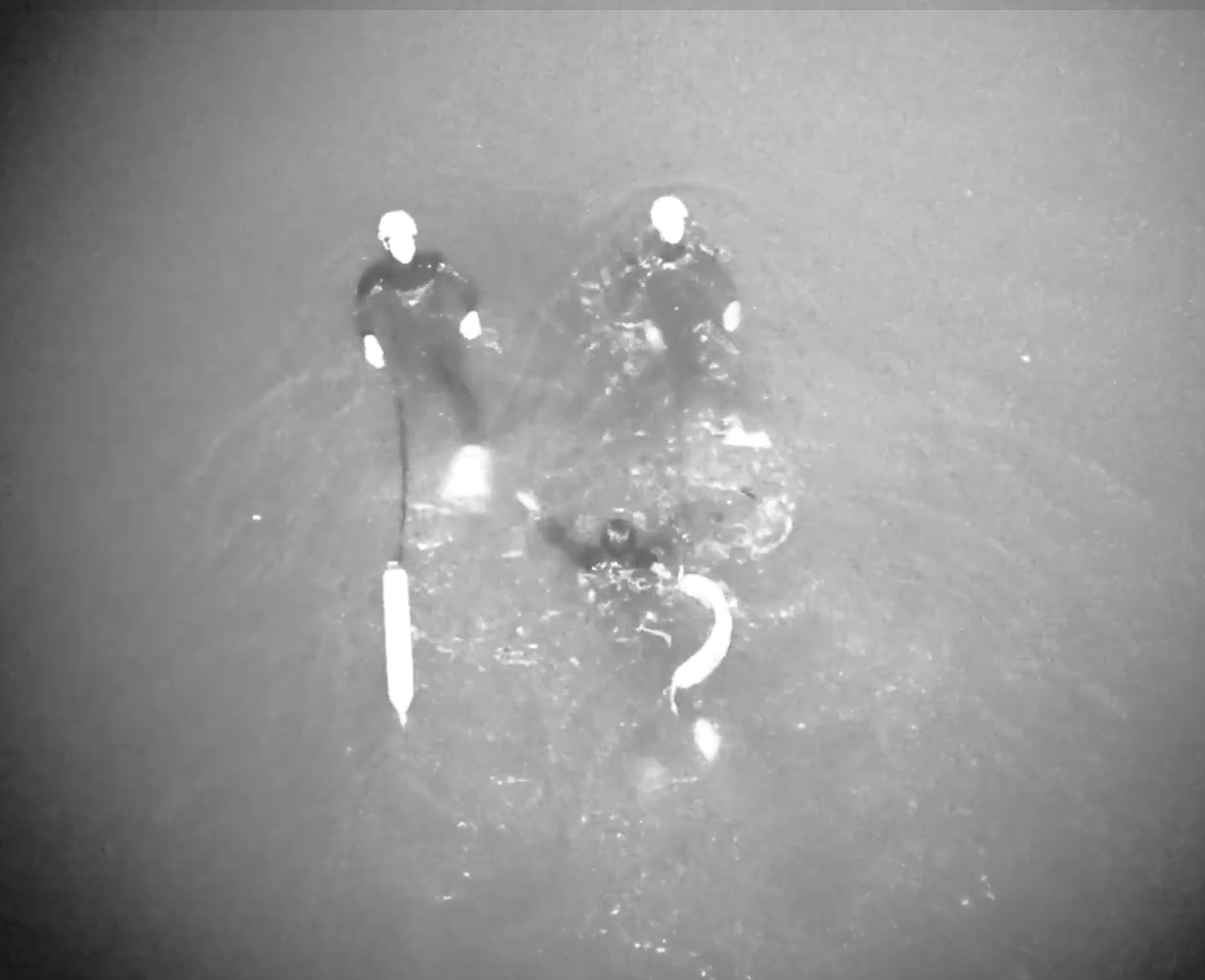 Daring rescue: Surfer clings to lobster trap buoy after being swept away from shore