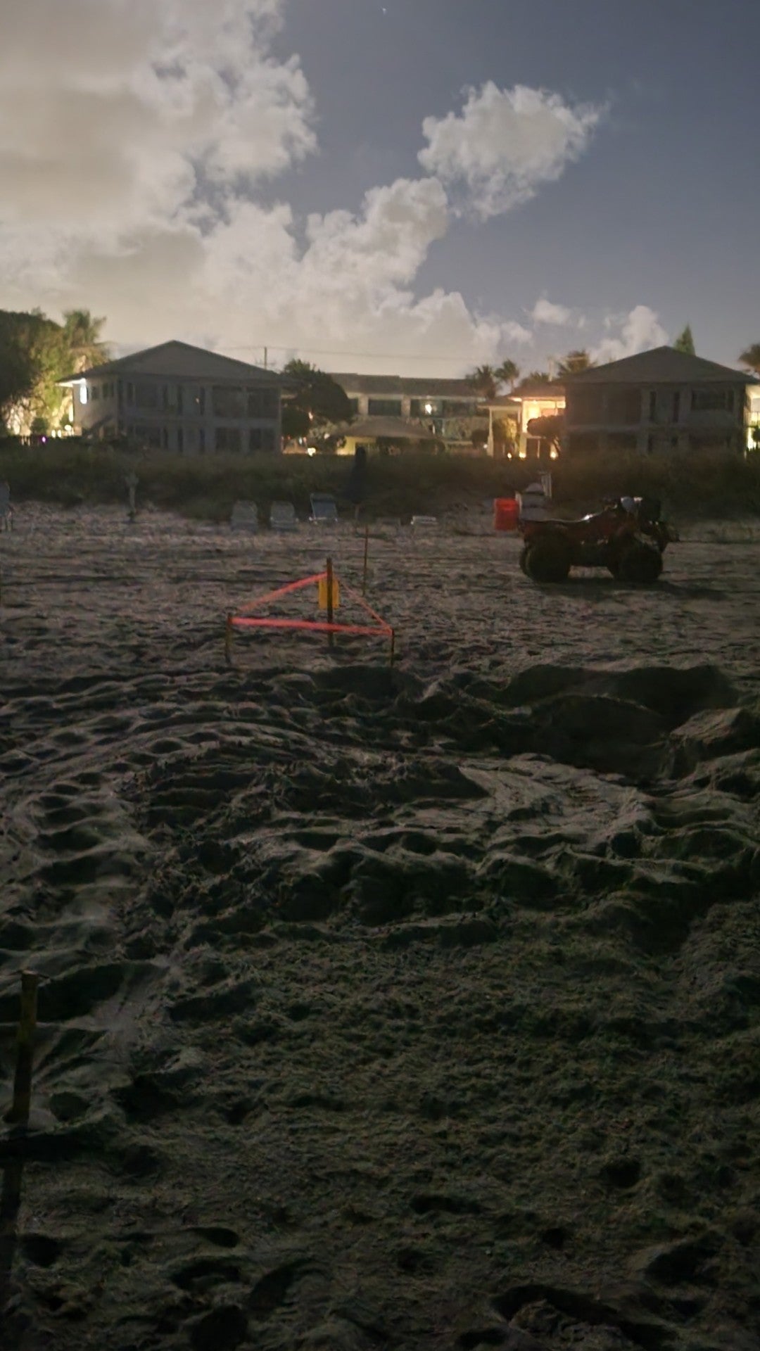 What you need to know as Florida's sea turtle nesting season kicks off