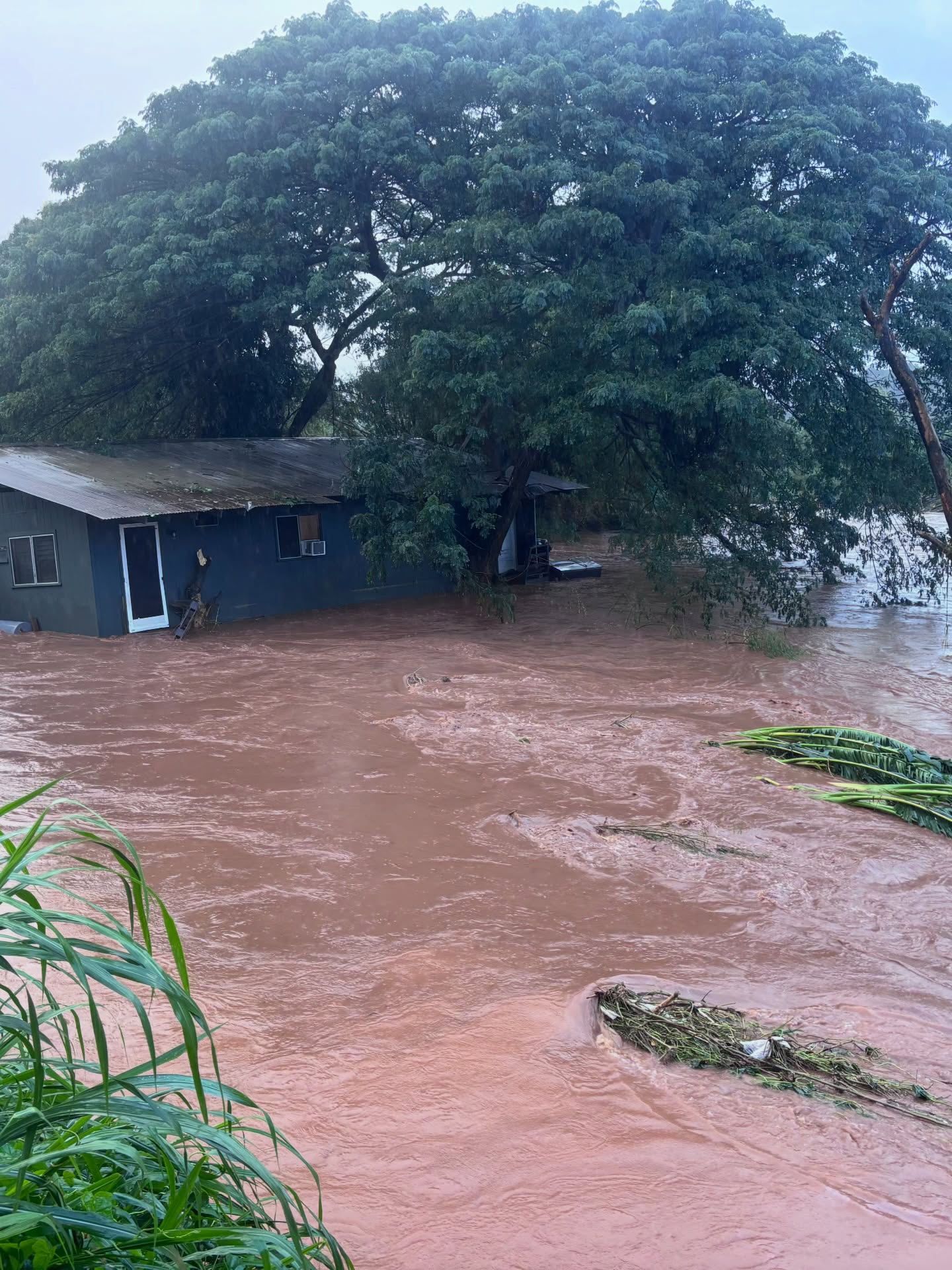 U.S. Coast Guard rescues 7 people and a dog after the worst flooding in 20 years hits Hawaii
