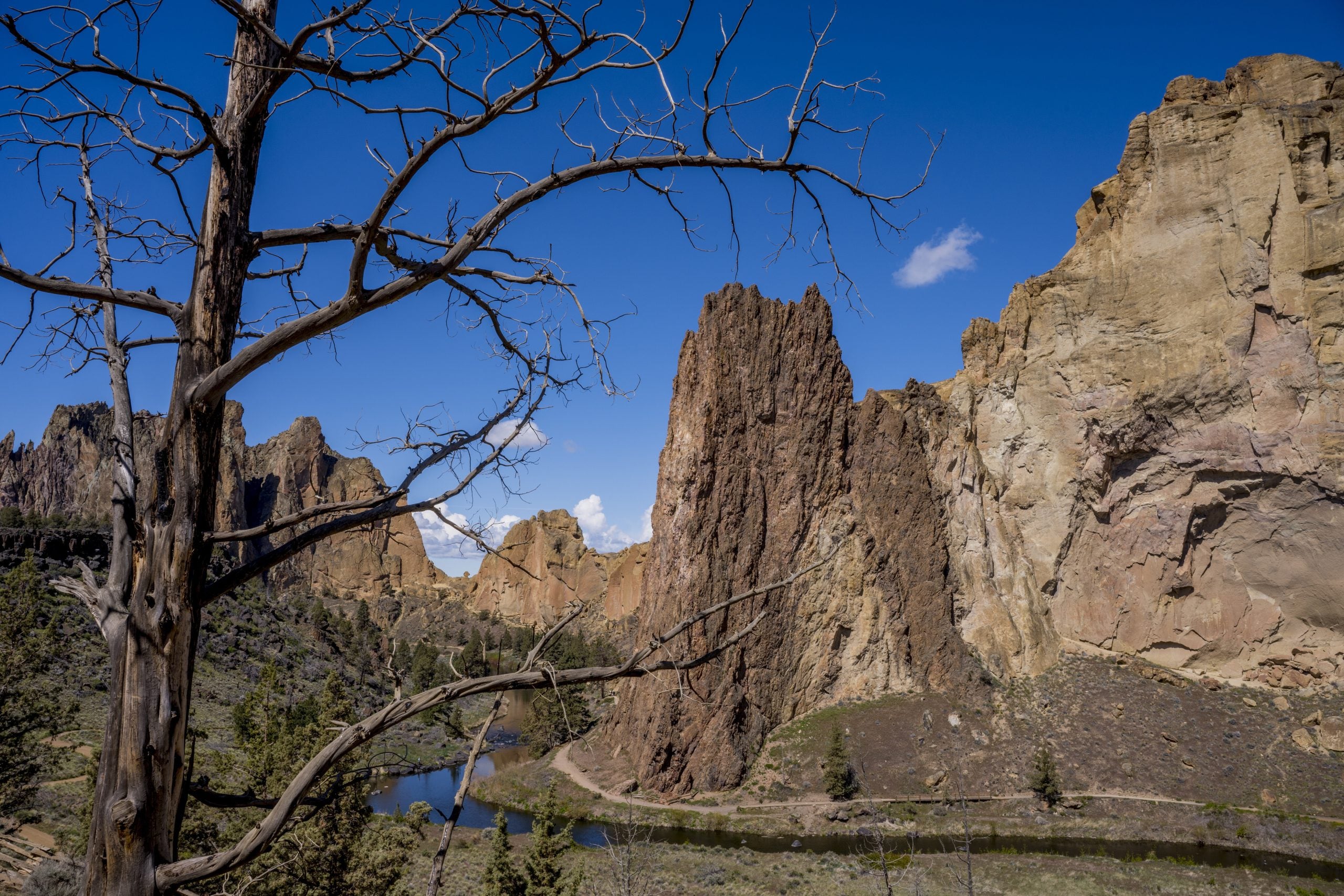 Search and rescue crews save two climbers stuck on high ledge at an Oregon state park