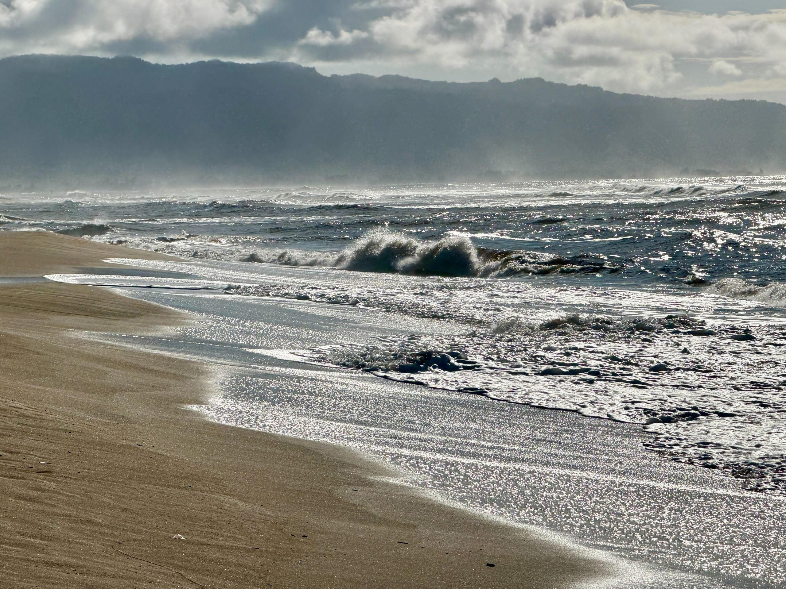 Couple recounts being stranded on beach for 24 hours during catastrophic Hawaii flooding