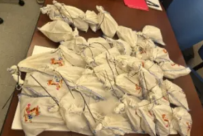 Photos: 39 live pythons discovered on tractor-trailer trying to cross into Mexico