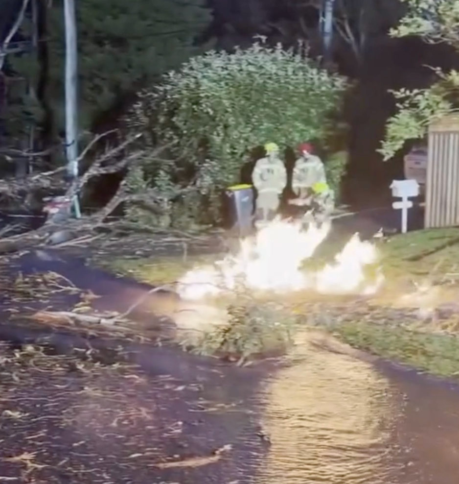 Watch: Lightning strike sparks fire, explodes tree, and ruptures gas and water main in New South Wales