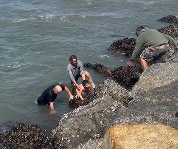 Video: Father and daughter heroically rescued by swim coach in rip current in California