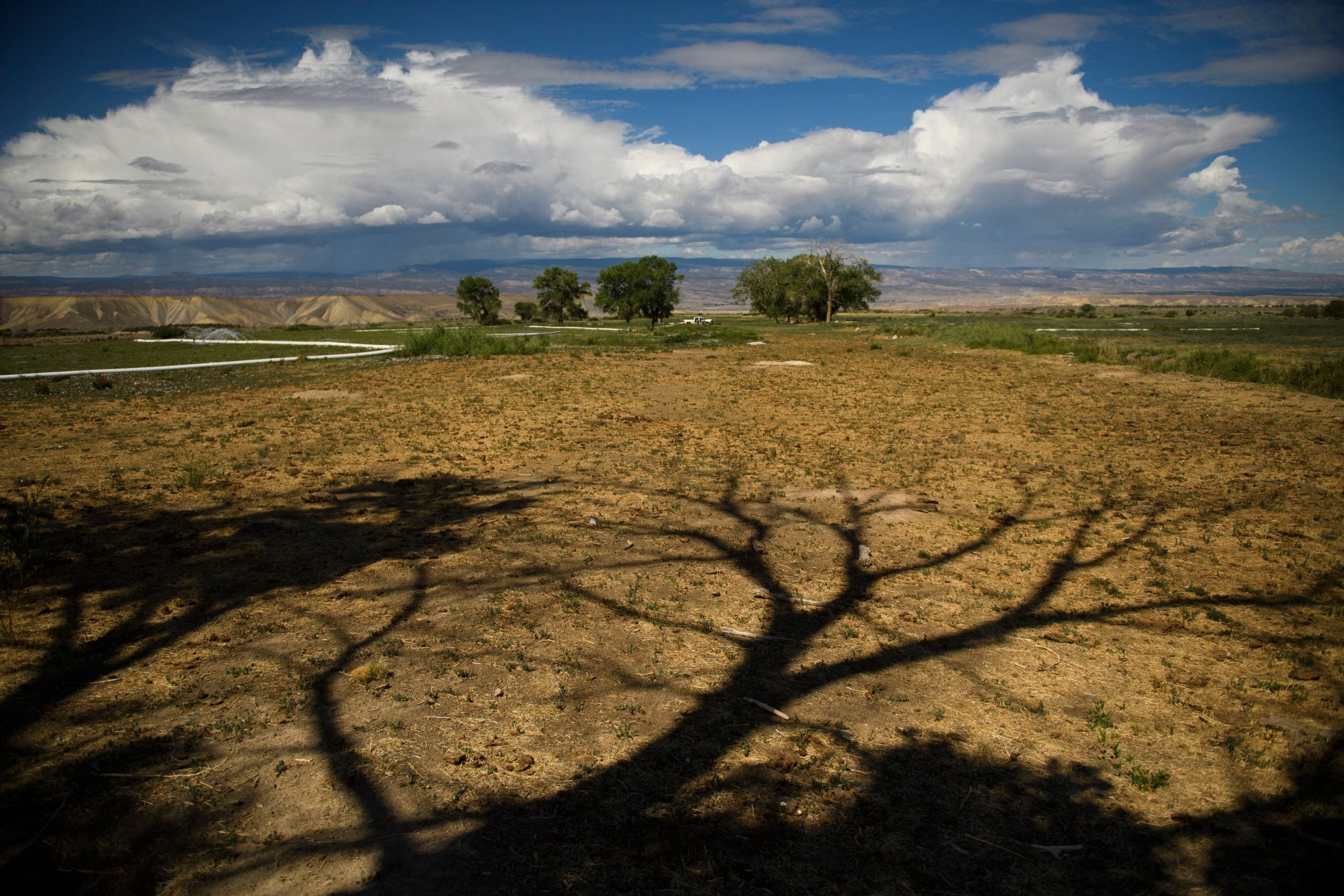 Most of Colorado is at risk of dangerous wildfires as warm, dry conditions persist