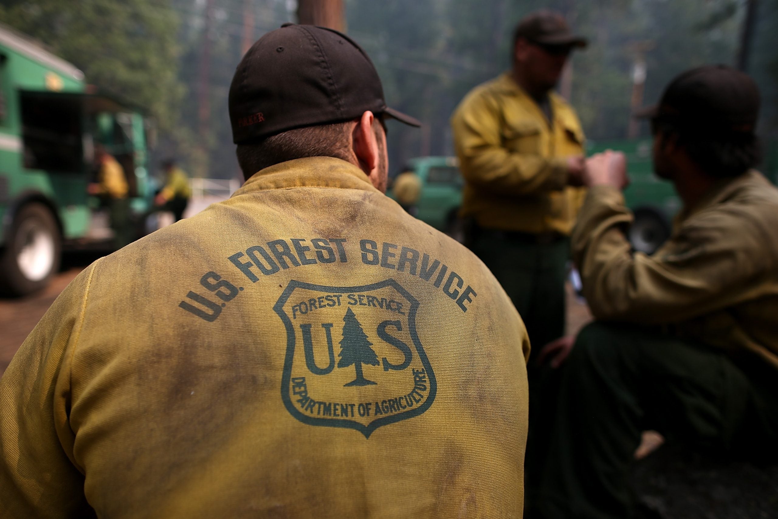 US Forest Service agency headquarters moved to Utah as 'sweeping restructure' begins