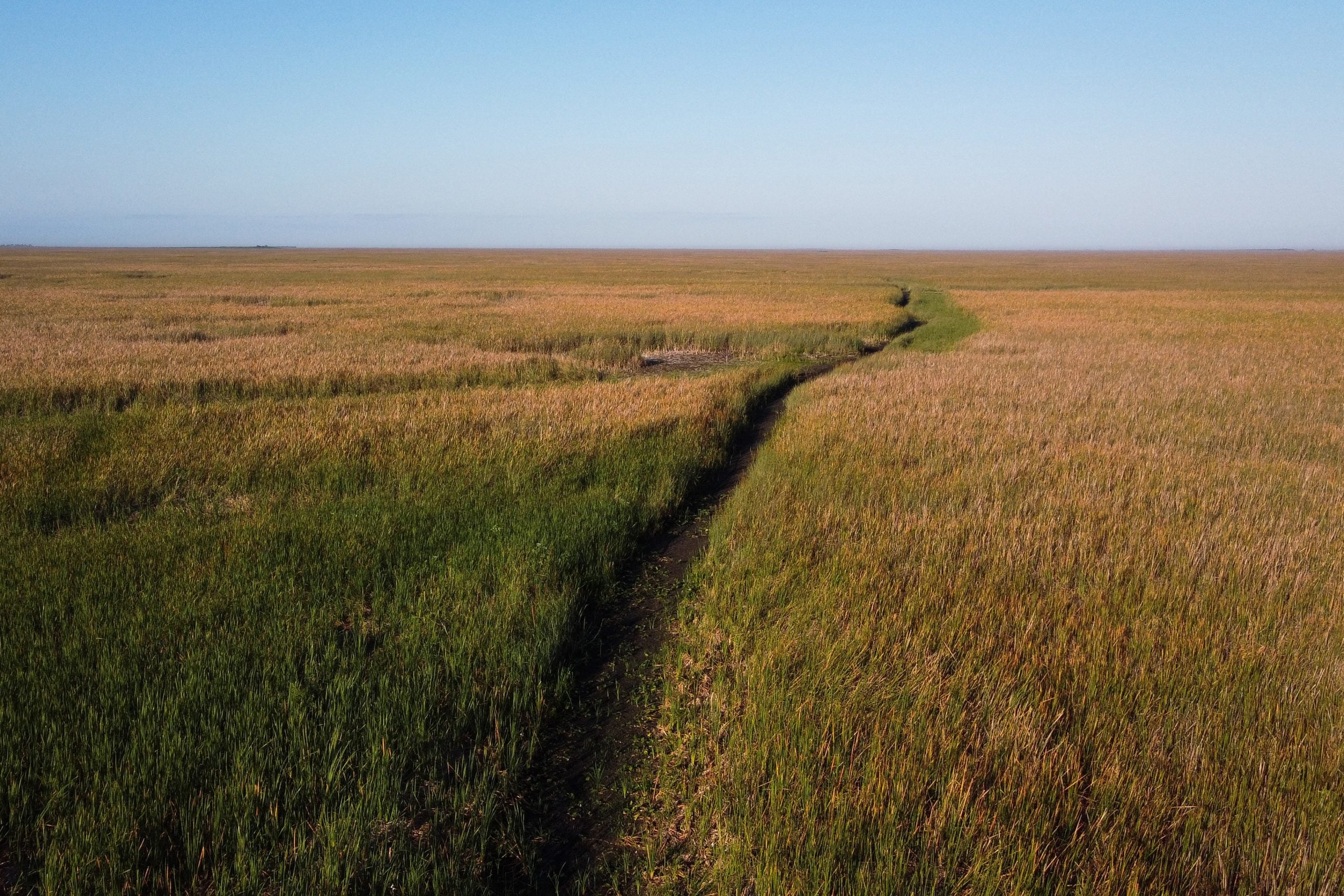 97% of Southeast under drought conditions as hot, dry spring lingers with some rain to the rescue