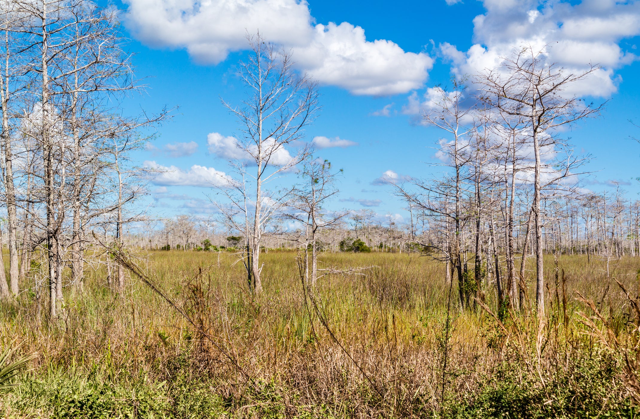Beneficial rain to ease historic drought conditions across the Southeast this week