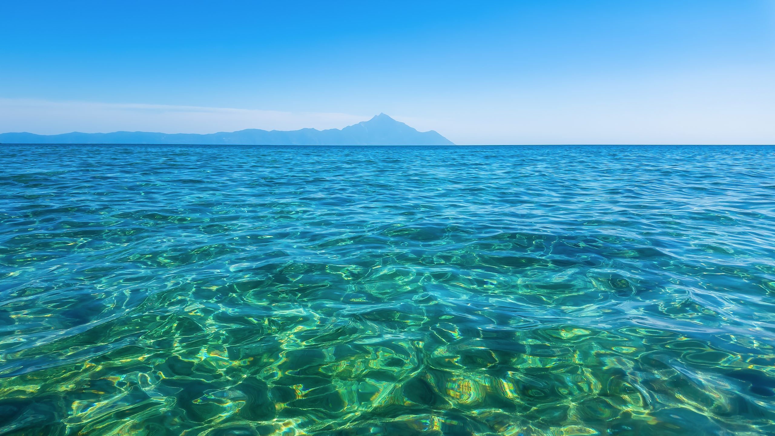 Ocean turns tropical, turquoise blue ahead of peak tourism season on the East Coast