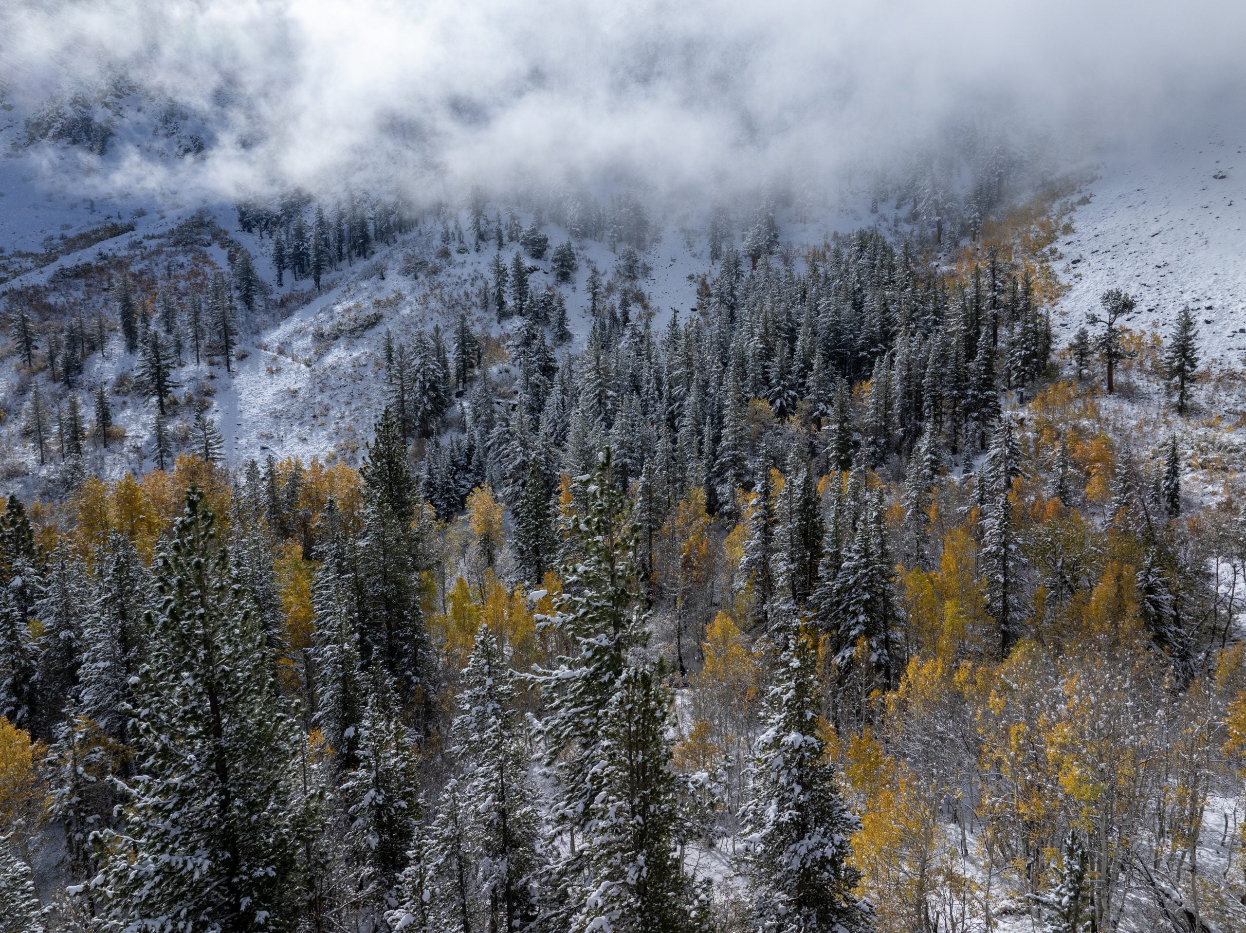 Omega block weather pattern to bring late season snow, heavy rain and cooler temps to the West Coast