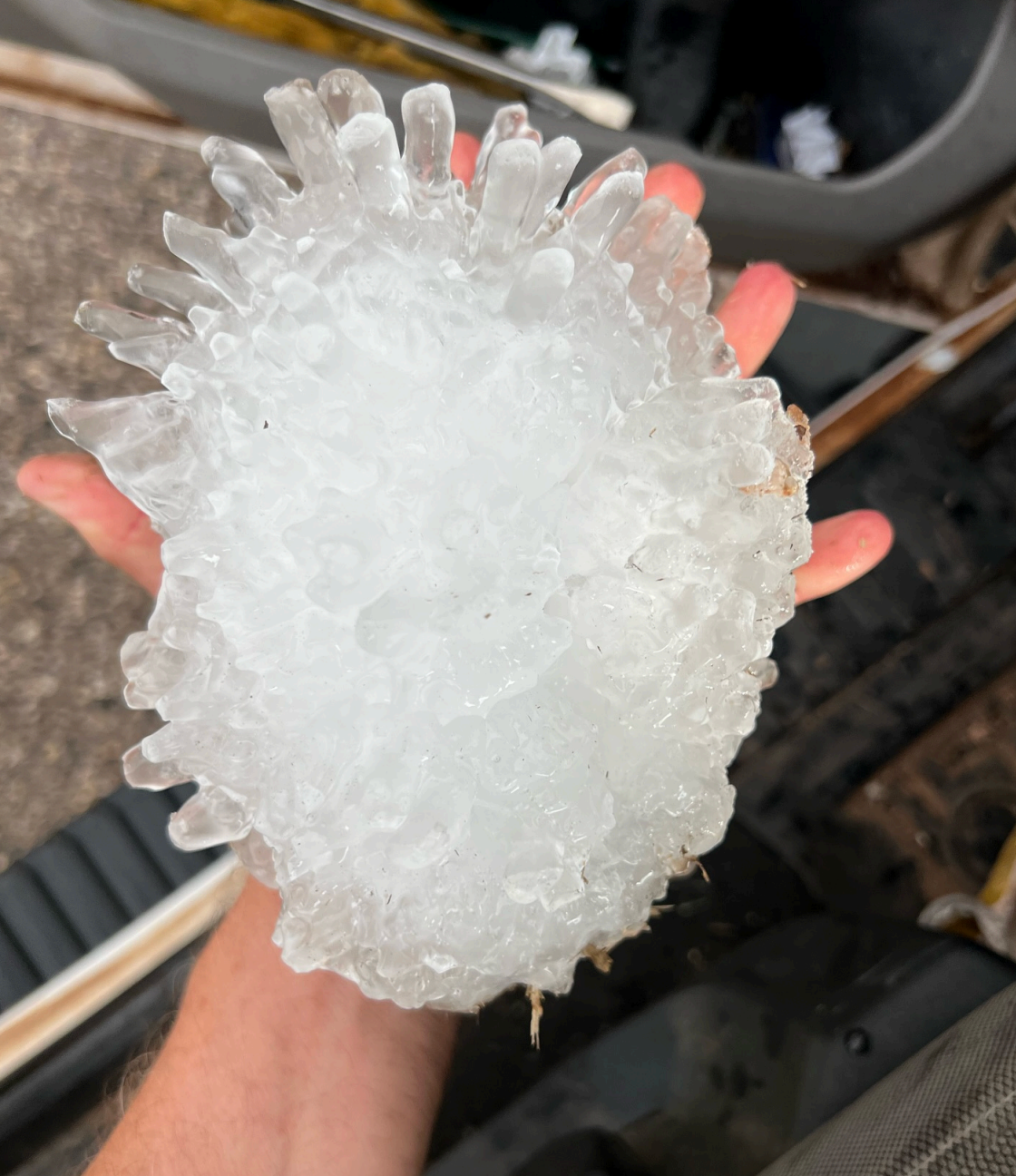 Experts confirm this hailstone broke the record as the biggest in Texas history