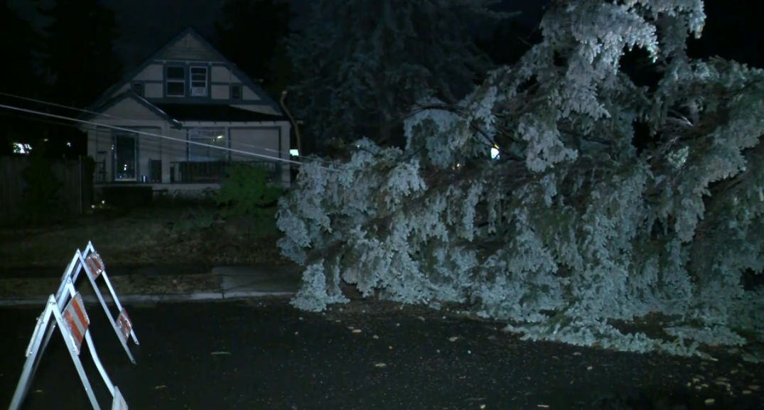 Rare Severe Thunderstorm Watch issued for parts of Northwest as storms, flash flooding target millions