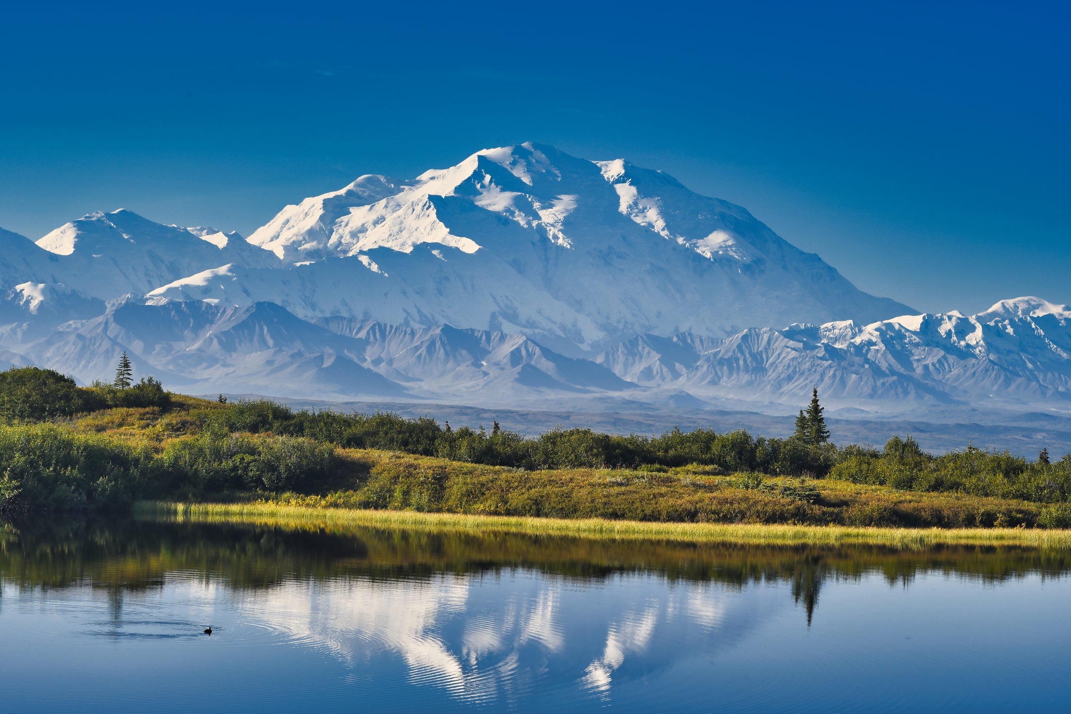National park ranger dies while patrolling America's tallest peak