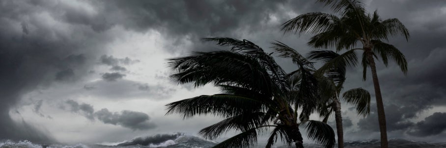 Tropical trouble could be brewing closer to home with new area to watch designated in the Gulf
