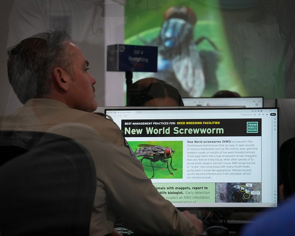 Texas activates State Of Emergency Operation Center after flesh-eating parasite breaches border